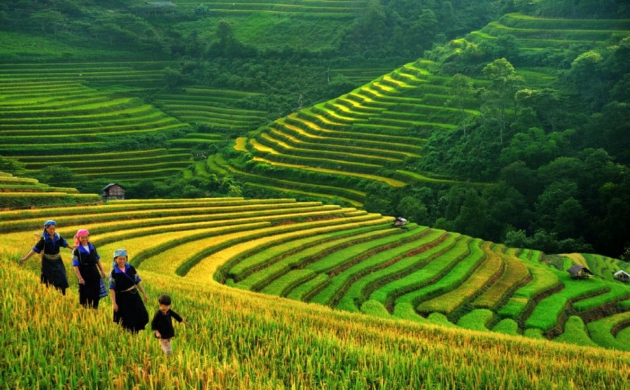 Sapa to the sea 6D5N by road
